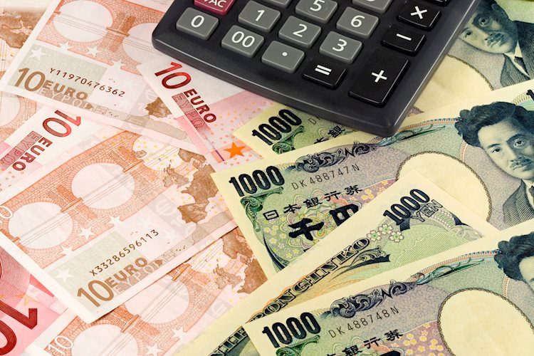 EUR/JPY attracts some buyers to near 163.00 amid BoJ rate hike uncertainty