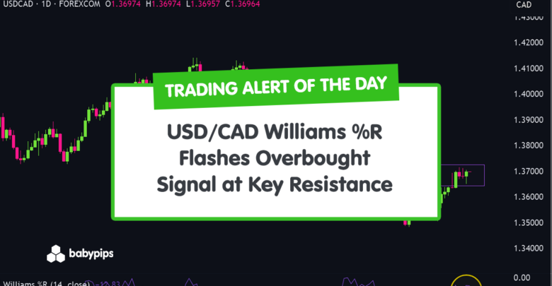 TA Alert of the Day: USD/CAD Williams %R Flashes Overbought Signal at Key Resistance