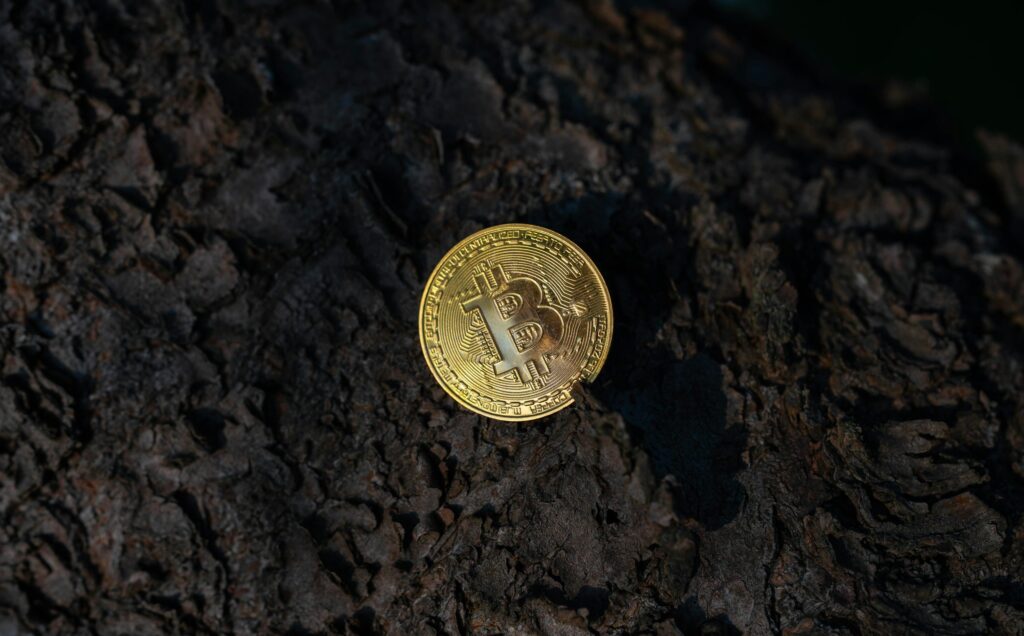 Bitcoin Should Be Flying—Instead, Quantum Keeps It Grounded