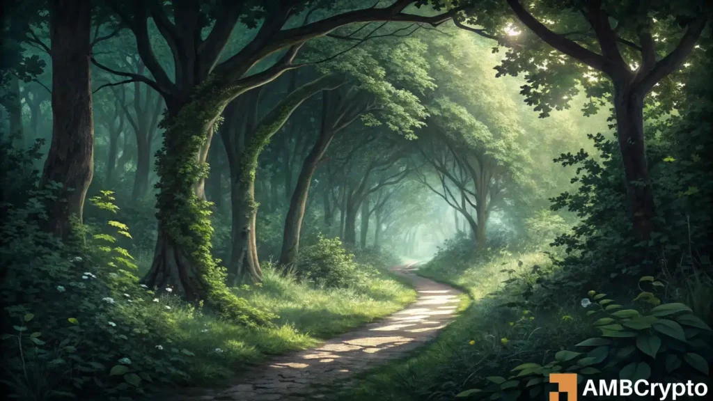 Bitcoin Cash: Here’s why BCH traders should watch THIS buy signal Bitcoin Cash: Here's why BCH traders should watch THIS buy signal