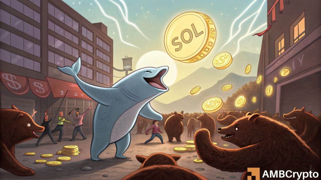 Solana: Can $17M in Whale Buying Help Sol Hold Above $90?