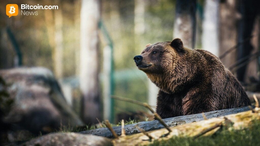 Cryptoquant’s Ki Young Ju Warns Bitcoin’s Bear Market Could Run Into Early 2027 Cryptoquant's Ki Young Ju Warns Bitcoin's Bear Market Could Run Into Early 2027