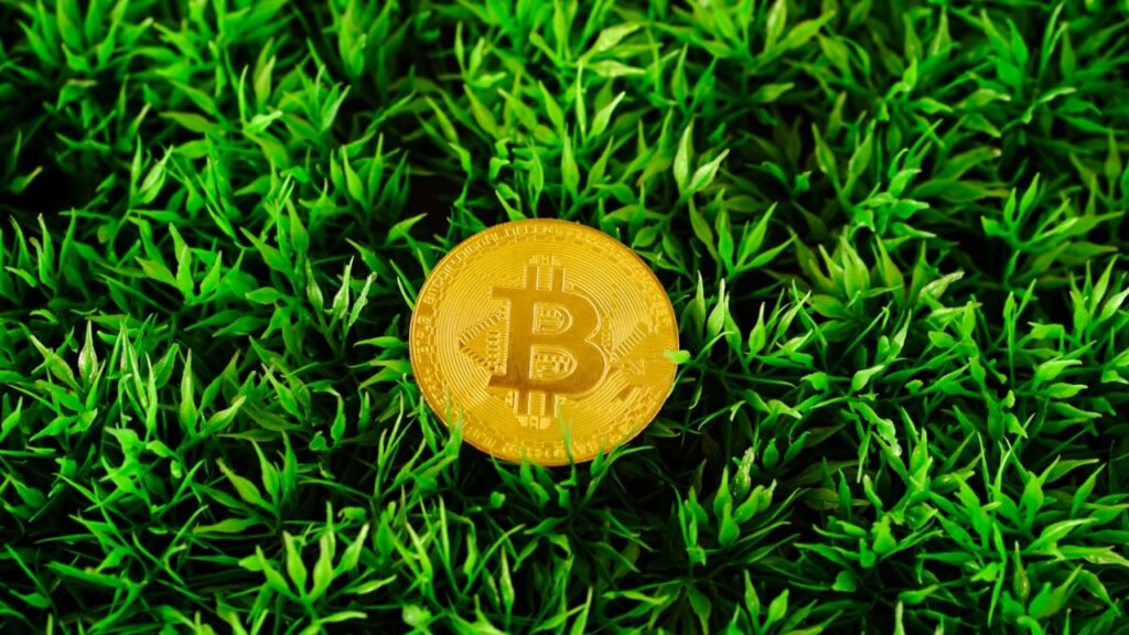 Binance Sees Pre-IPO Boom as $225B IPO Wave Drives Demand for On-Chain Access