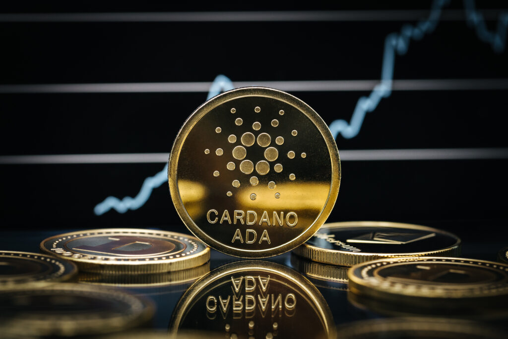 Cardano Price Could Be Heading To $0.1 — Crypto Founder Offers Insight
