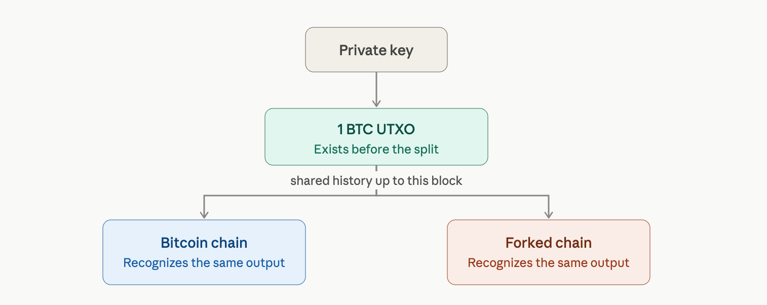 Bitcoin Chain Splits Explained: Why Every BTC Holder Gets a New 1:1 Asset UTXO history visual.