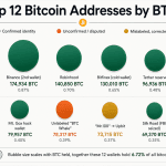 Inside the Top 12 Bitcoin Addresses: Who Holds 1.35 Million BTC