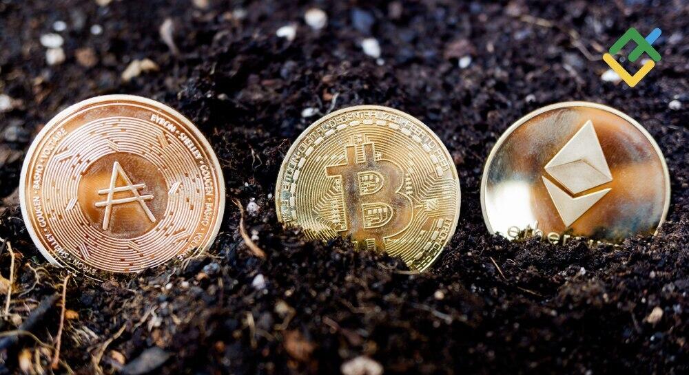 Is Crypto Dead in 2026? What the Data Says