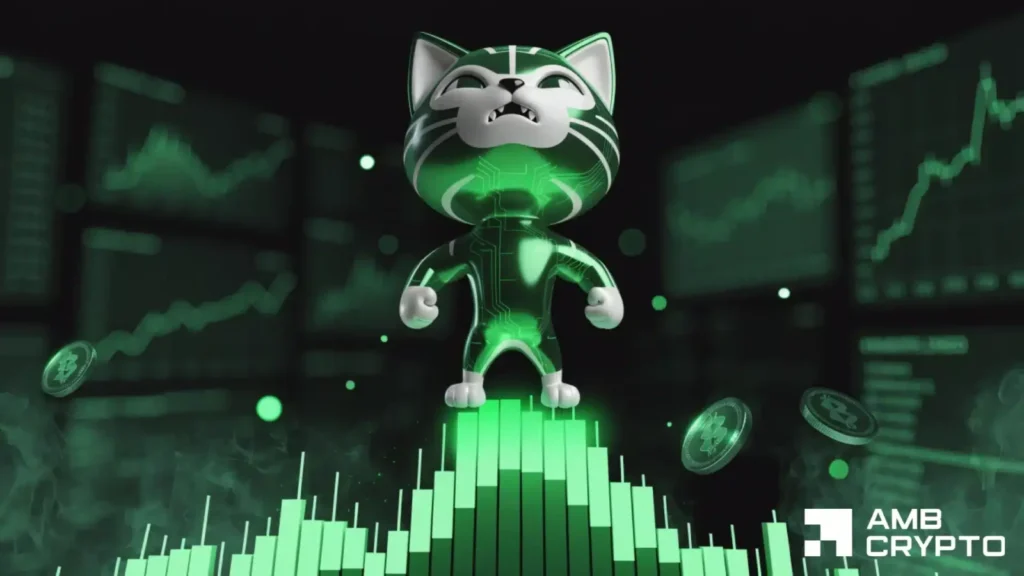 cash cat crypto