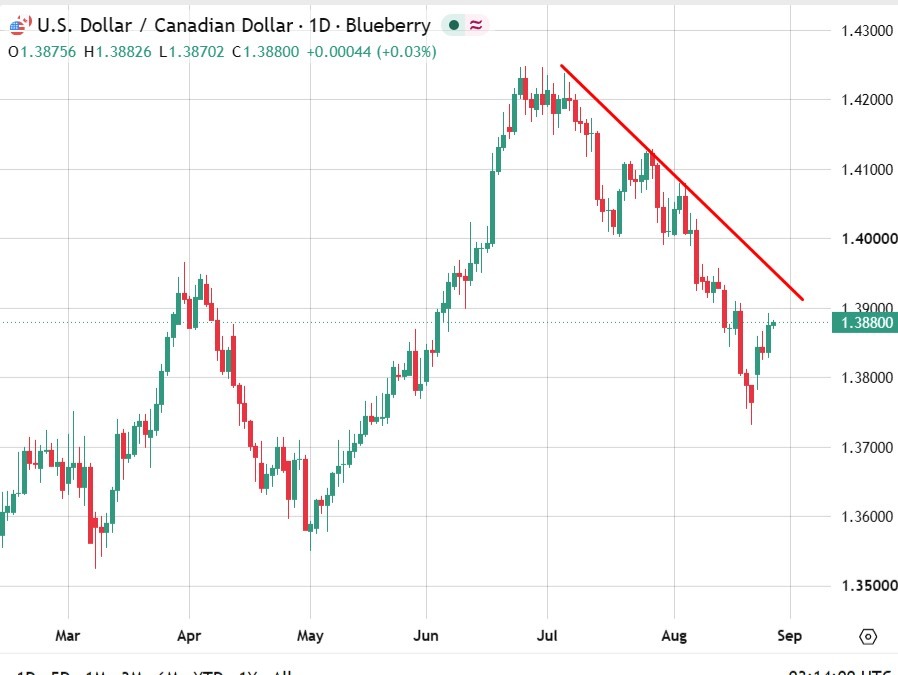 ING says Canadian dollar has further to fall on tariff chaos
