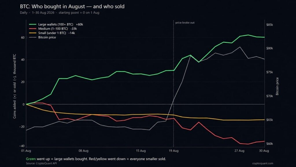 Bitcoin Miners Are Pivoting to AI. What Happens to Bitcoin Mining?