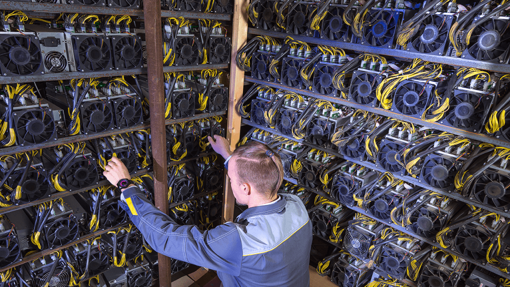 Zcash Price Spike Fuels Massive Mining Profits and Hashrate Boom Zcash Price Spike Fuels Massive Mining Profits and Hashrate Boom