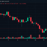 Bitcoin Price Takes a $3,215 Ride Just to Land Back at $77K