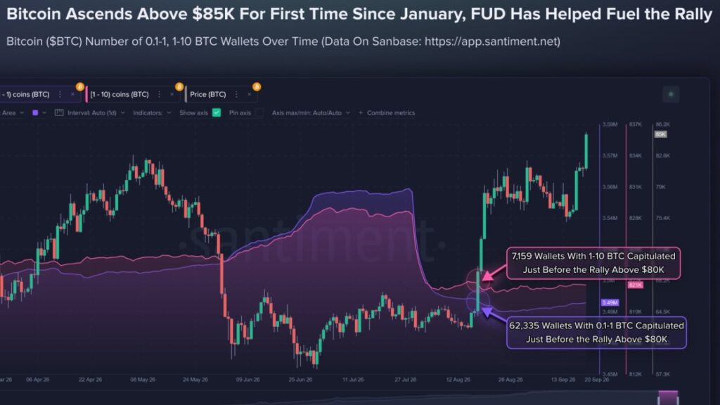 Bitcoin Price Crosses $84,000 as Analysts Declare Bear Market Over