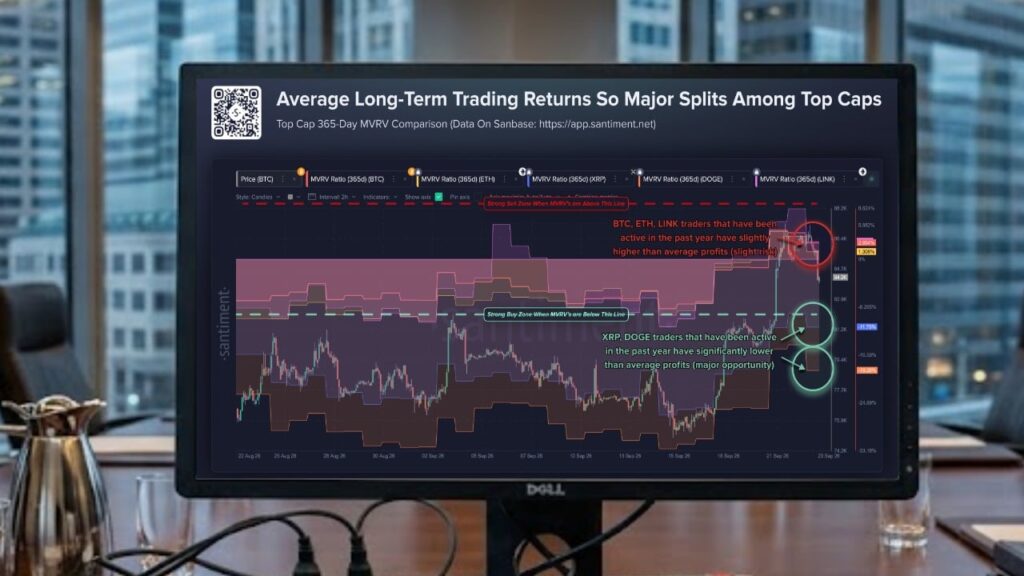 XRP Average Long-Term Trader Still Down 11.75% After Rebound Bitcoin.com News