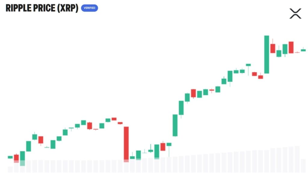 Bitcoin.com News