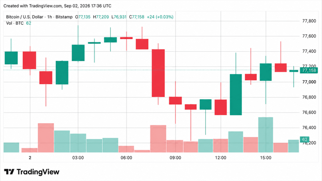 Bitcoin Price Resists $76K Dip as Analyst Flags Next Buy Zone at $74K