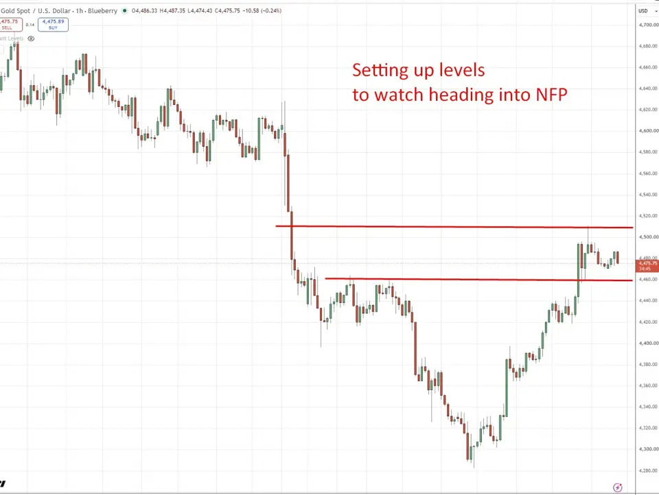 Gold’s week of whiplash sets up a payrolls-driven Friday