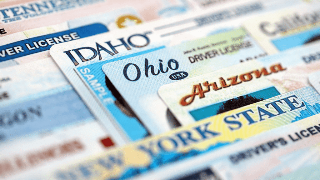 153 Million Driver’s License Leak Sparks Explosive KYC Backlash