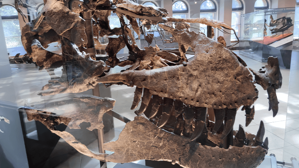 A 66-Million-Year-Old Tooth Shows T. Rex Ran Almost as Warm as a Human Body A 66-Million-Year-Old Tooth Shows T. Rex Ran Almost as Warm as a Human Body