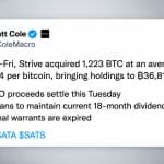 Strive Buys 1,223 Bitcoin While Preparing a $630 Million Cash Raise