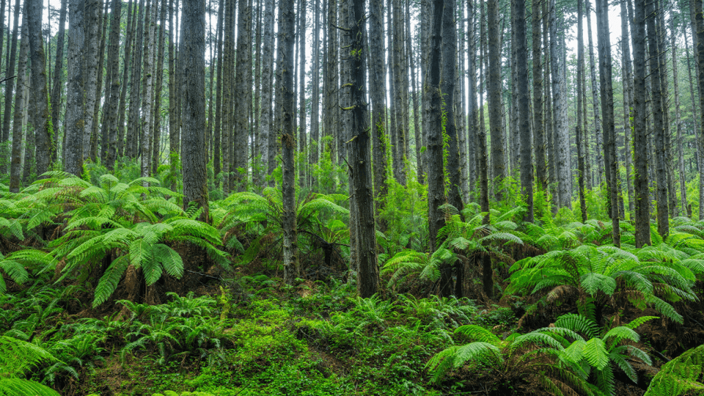 Scientists Stumbled Back Onto a Forest Experiment Abandoned for 30 Years, and the Results Stunned Them HEX Founder Richard Heart Reportedly Arrested in Istanbul Dawn Police Raid